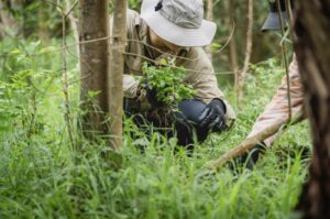 dragonfly staff member on site holding weeds during removal